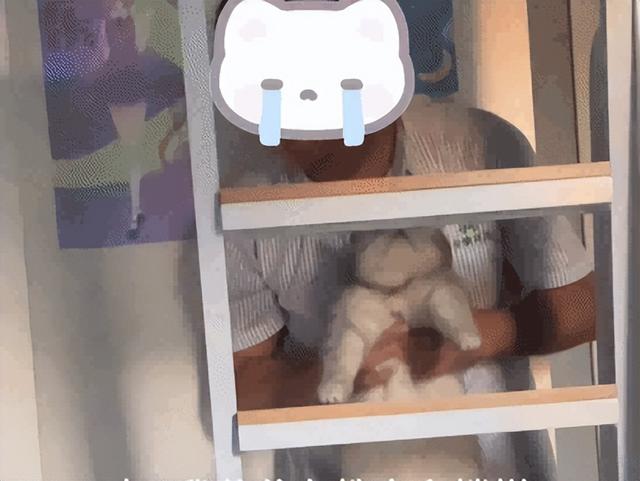爸爸教猫爬梯子上床，结果第二天看到…网友：这猫是人教版的！