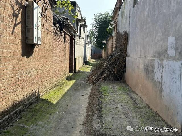 冠县乡韵·兰沃乡大柳邵村