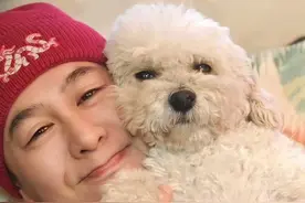 张颂文变身狗保姆，小白狗成网红？网友：求出道！图片