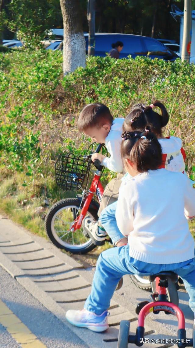 不用去南京，长沙也藏着 “梧桐秘境”！遛娃拍照美到窒息！