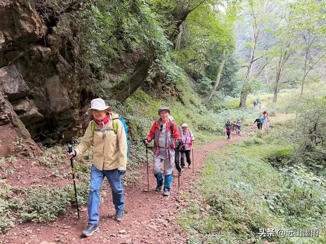 徒步武定香水箐,赏野草香飘、听溪流淙淙,徜徉绿水青山中,惬意