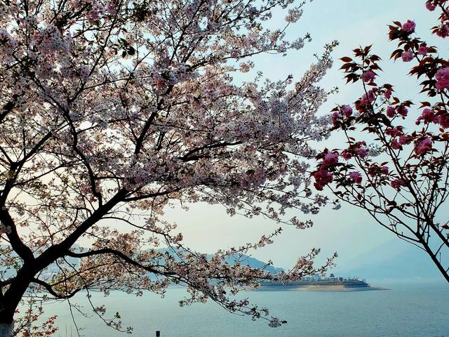 屈原故里（2021.3.15 宜昌·秭归）