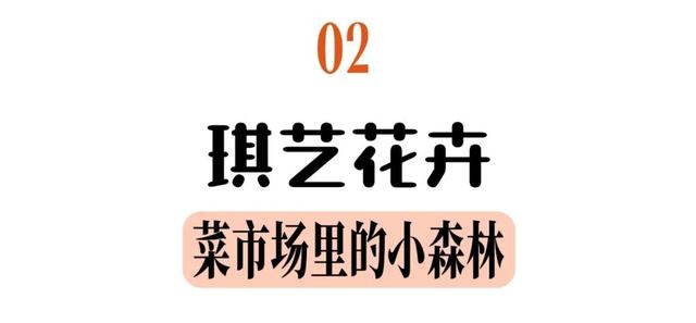 别卷景区了！常青花园私藏地图请收好！