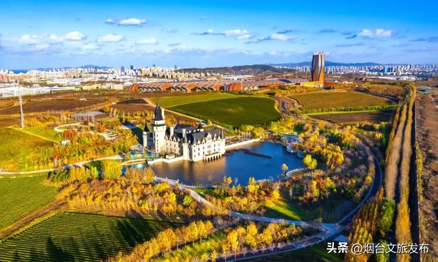 【乐游烟台】齐鲁超赛×碧海动漫嘉年华！烟台黄渤海新区喊球迷漫友速来！