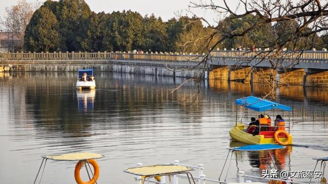 Citywalk必打卡！快来泰安这处公园，领取「浪漫可爱」的心灵治愈指南！