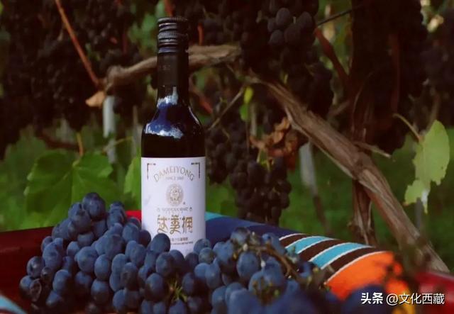 旅游资源普查成果云览 | 藏东明珠——昌都