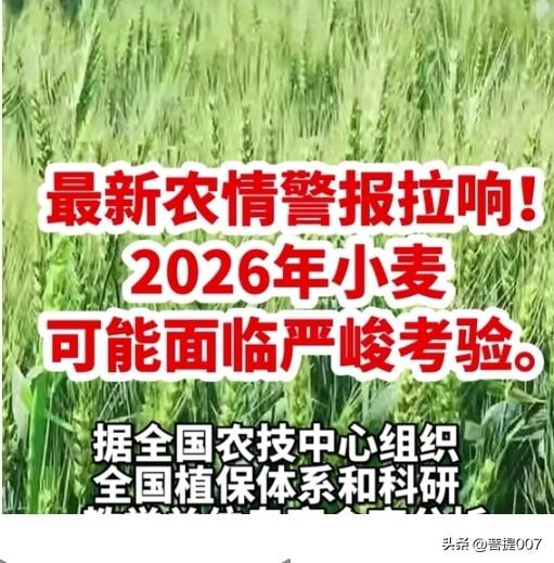 三九快过完，气温不降反升？老话“最怕三九晴又暖”，有啥预兆？