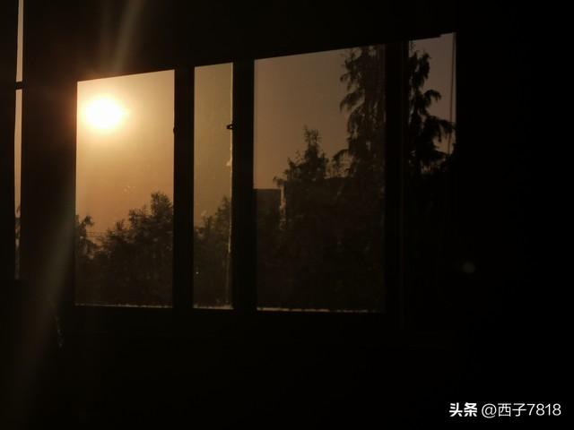 发现一个奇怪的现象，如果女人出轨了，90%的男人都会选择离婚