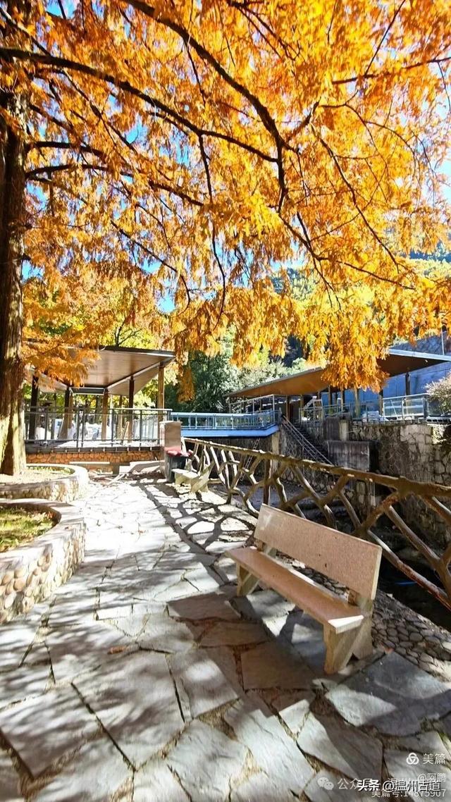 踏秋胜地,天脊龙门!浙江这个4A级景区已美成童话,等你来打卡
