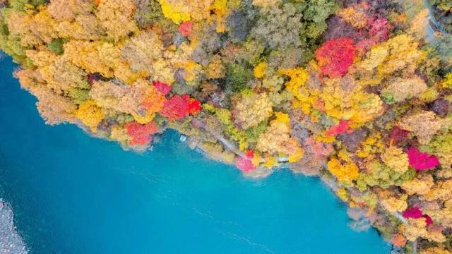 松坪沟的秋天，把油画里的颜色都搬来了吧