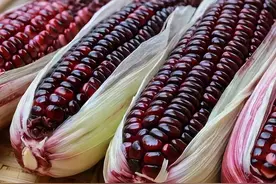 8种花青素“王者”食物，蓝莓只排到了第3名，第一名没想是它！图片