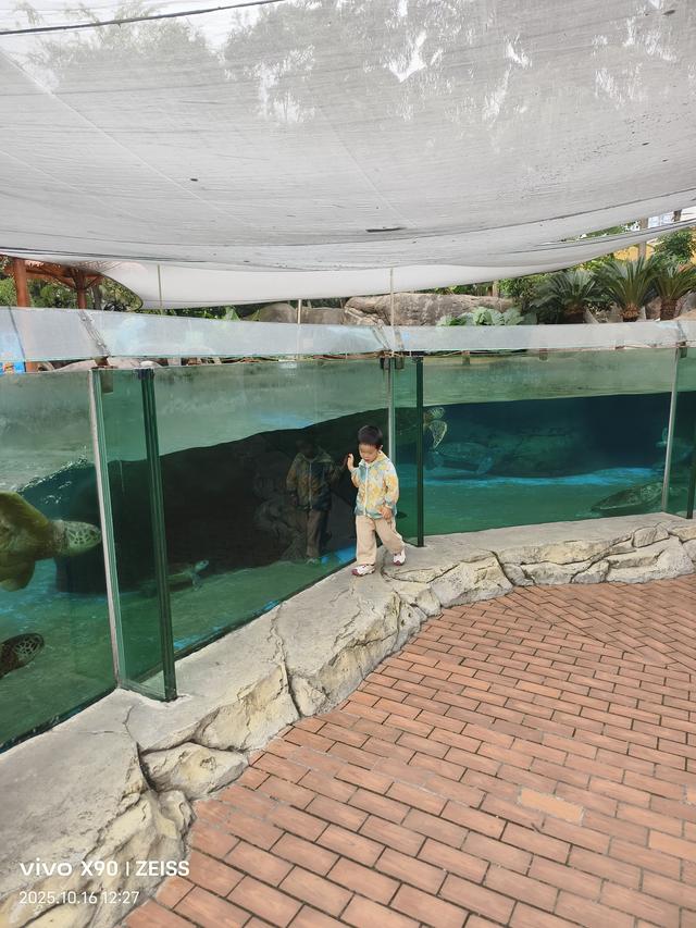 成都 极地海洋公园（58）2025年10月16日