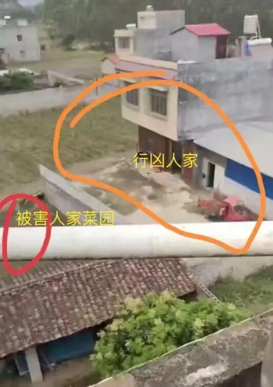 刚刚宣判：何某乖（1997年生），改判死刑！