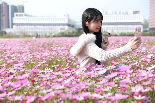 百千万工程“花”样答卷！德庆冠旭电子产业园惊现格桑花海，一起来打卡工业风浪漫吧~