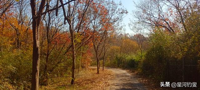 从射乌山到柏家庄