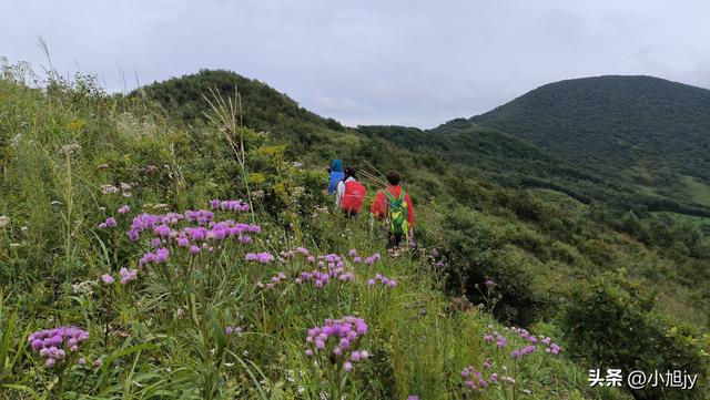 雨后徒步辽阳梨花峪，云雾缭绕｜木栈道、山地草甸、网红秋千