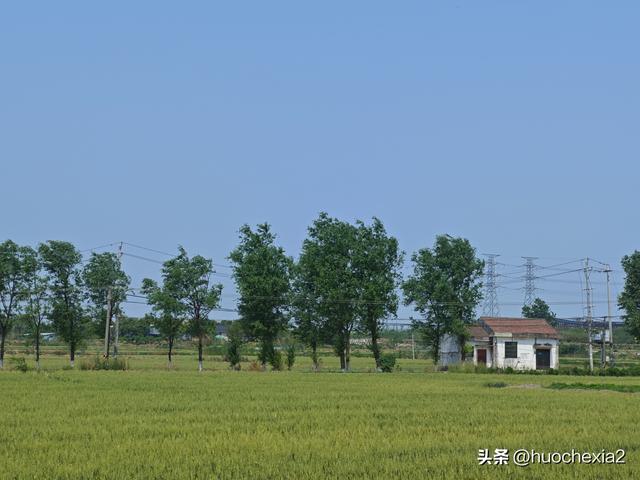 隔壁的城市走一走——镇江丁岗五七林场