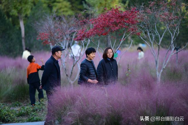 达活泉，这才是秋天该有的样子（图）