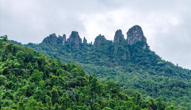 海南“岛秘”十则：本地人亦未必尽知的闲趣