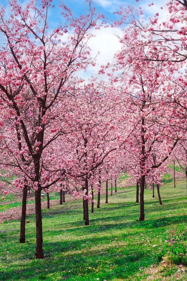 弥勒太平湖，免门票！