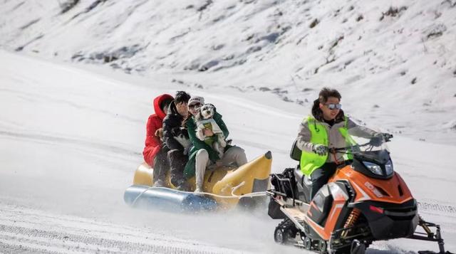 企鹅伴滑、与鹿同行，来神农架原始森林仙境尽情撒欢
