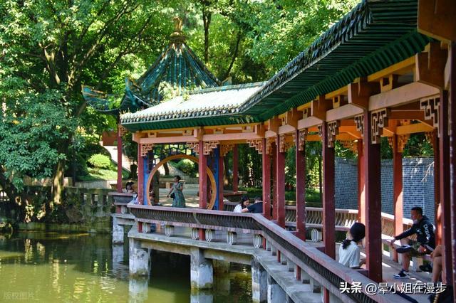 隐于山城！在重庆这座公园邂逅复古园林，带娃寻回惬意老时光