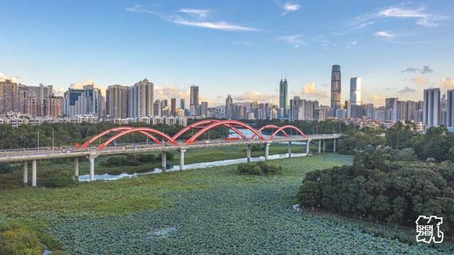 “宜居深圳”桥梁篇：科技与艺术的共生