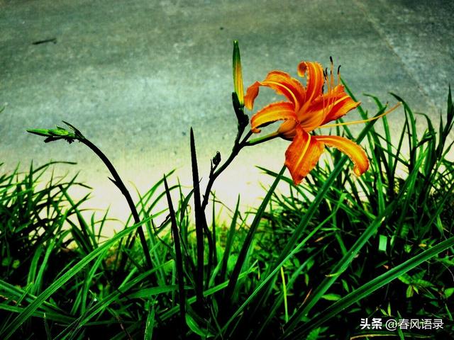 敢拉黑男人的女人，爱情面前，她们到底在想什么