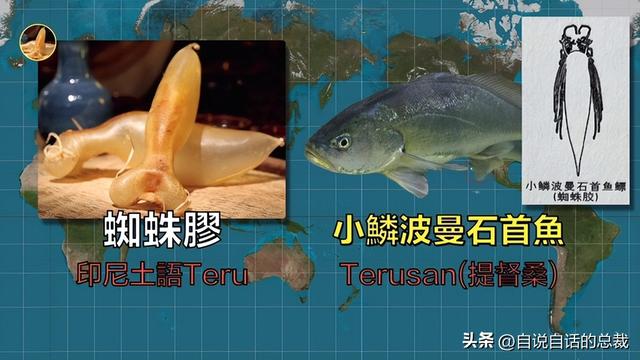 巴西黄鱼胶多少钱一斤 2026年巴西鱼胶便宜吗