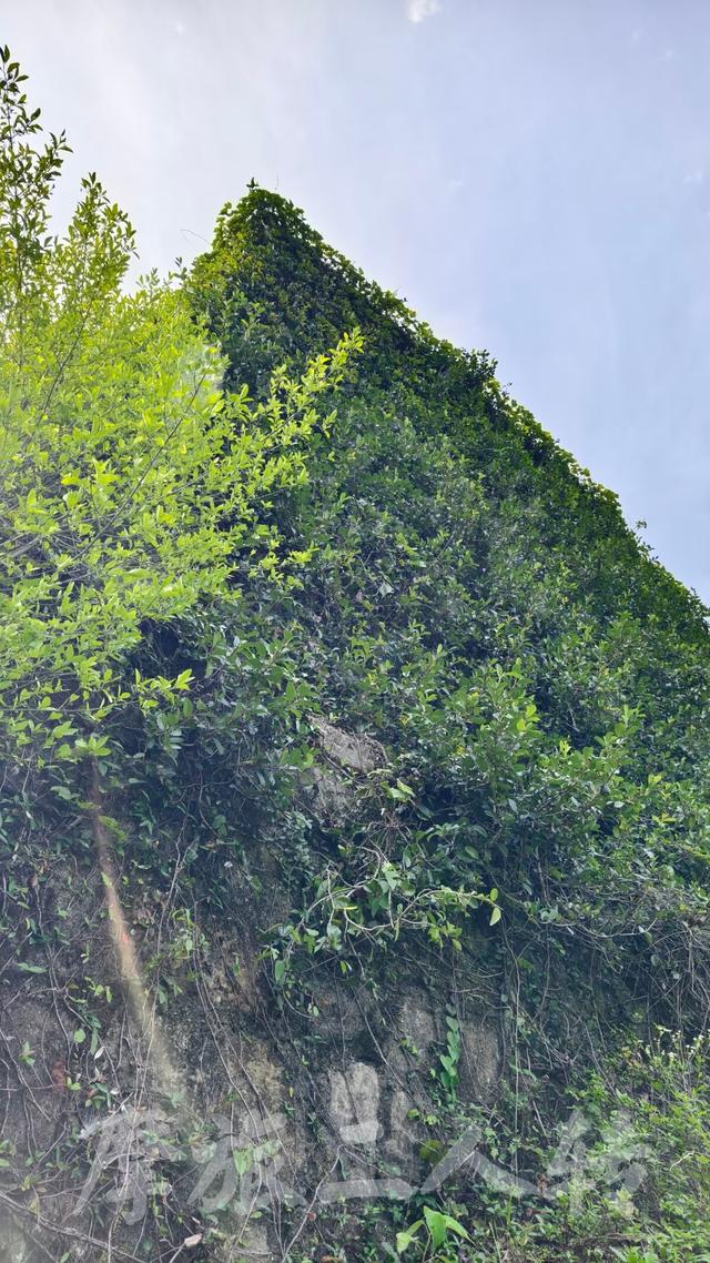 皖浙摩旅二人转——皖浙天路篇（3）