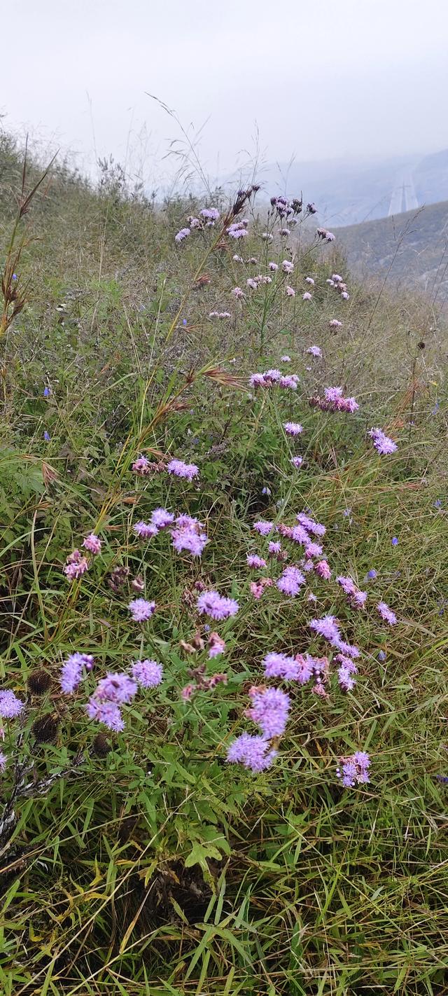淄川龙湾峪苍龙峡一日游