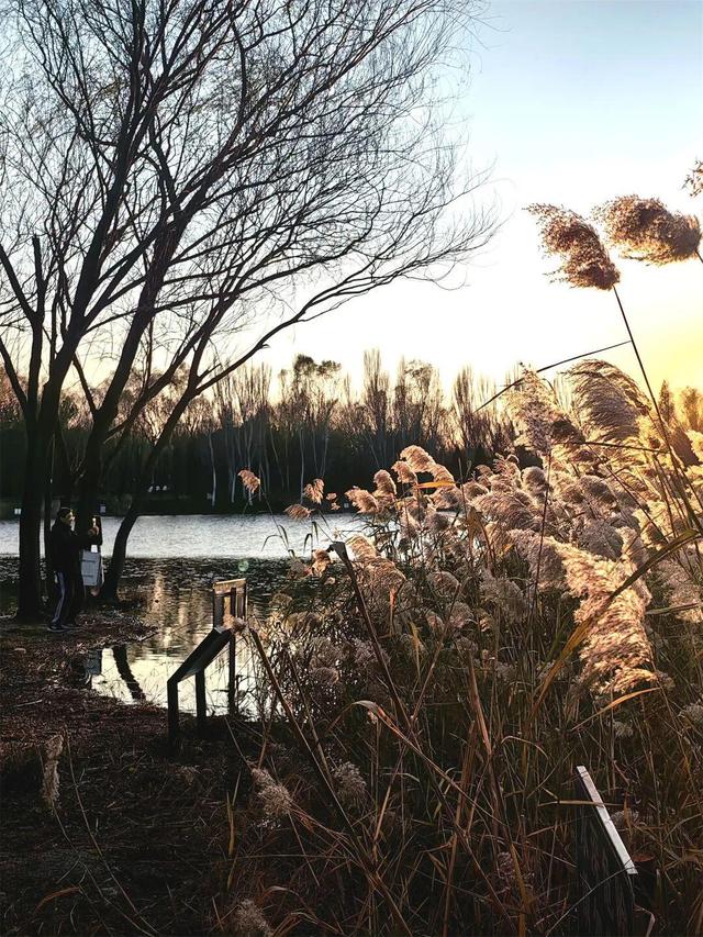 用电影的方式“打开”初冬！每一帧，都浪漫