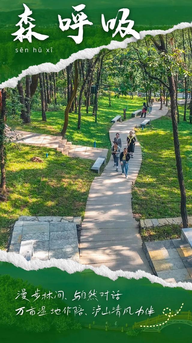 西昌：一座城，五种康养，万般心动