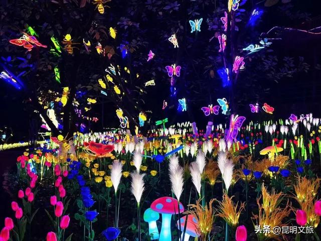 世博园大型灯展!最新剧透来啦