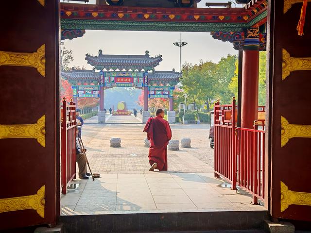 沈阳寻找银杏：从北陵到北塔