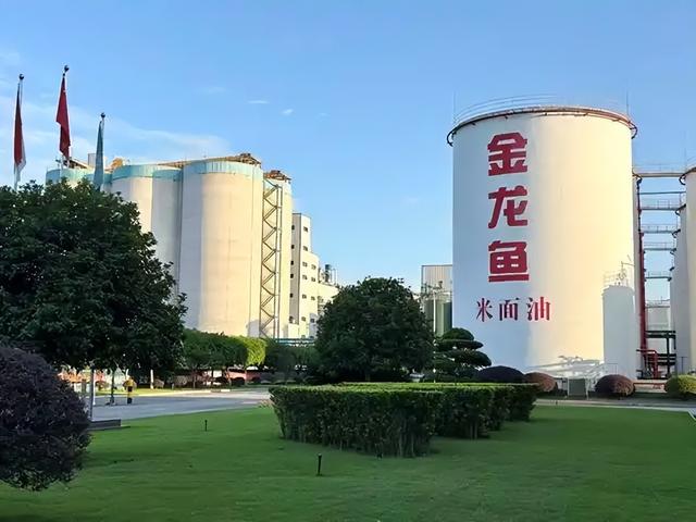 新加坡总理公开支持高市后	，被罚18亿账单的金龙鱼，凉得更快了