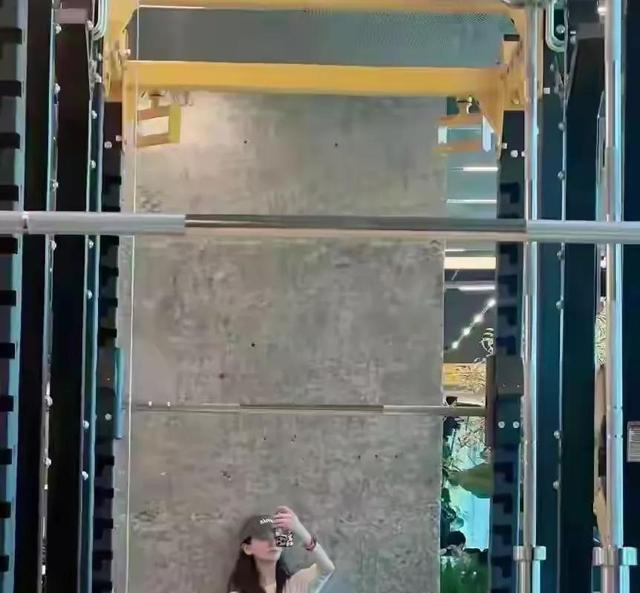 48岁左小青穿瑜伽裤健身，没有一点赘肉，明星也不容易啊
