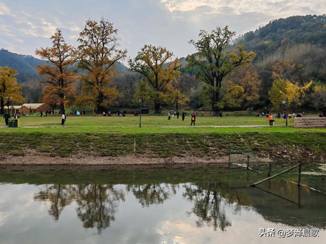 湖北随州，千年银杏谷 自然与人文的诗意交响