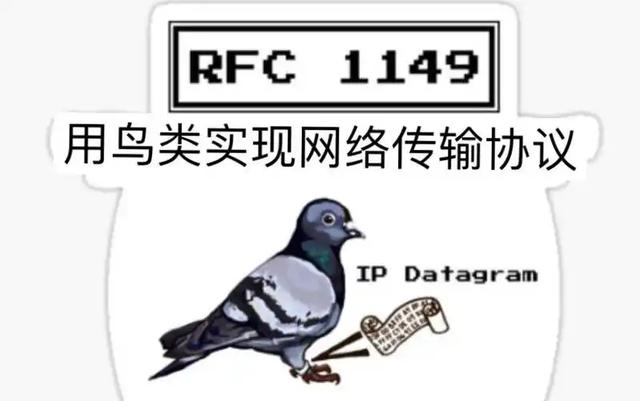 千兆光纤还没鸽子快？程序员把鸽子接入互联网，标准被官方盖章？