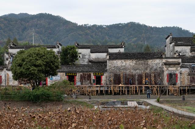 黟县西递村——从这里开始，慢慢翻开“徽派”的书