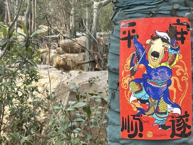 春节订单全国第一！南京红山动物园凭啥成亲子游“顶流”？