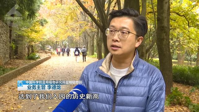 2.5万人!昆明植物园开启“人从众叕”模式,你们被枫叶刷屏了吗?