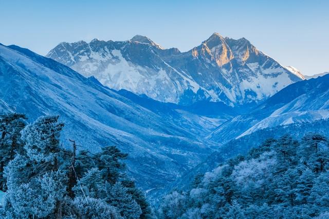 6年前，我在印度，询问当地人为什么苍蝇当道，他们的回答很费解
