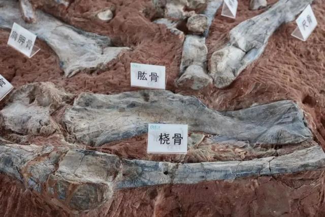 地名里的重庆 | 正阳街道,藏着黔江东南一隅的别样风情