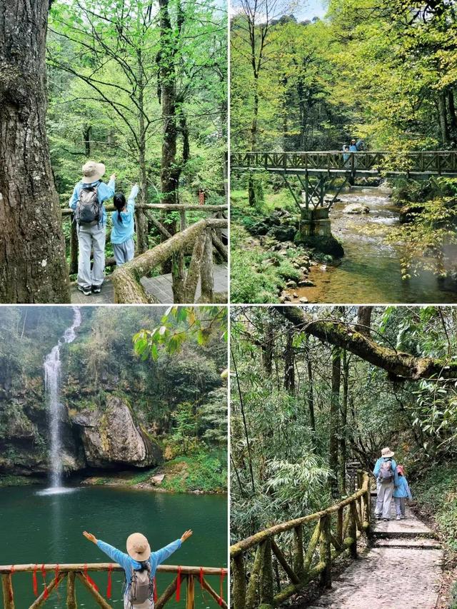 夏日纳凉避暑TOP1！亲子耍水、徒步吸氧、度假风打卡地，22°的夏天抓紧来！