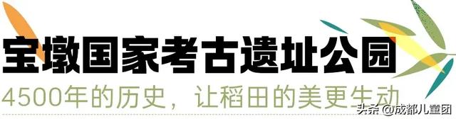 夏天一定要看一次稻田！这4处可看，还能喝下午茶逛博物馆