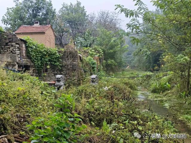 雨访南西安村玉泉