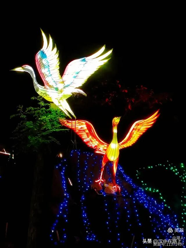当光影遇上森林,汉中的夏夜如此动人清凉!