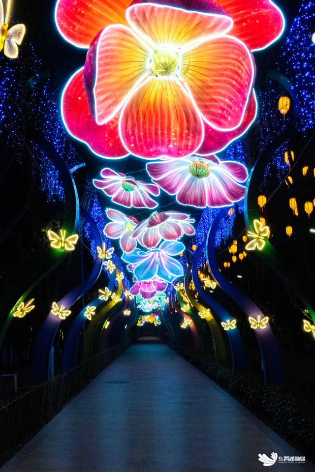 武汉园博园灯会来啦！