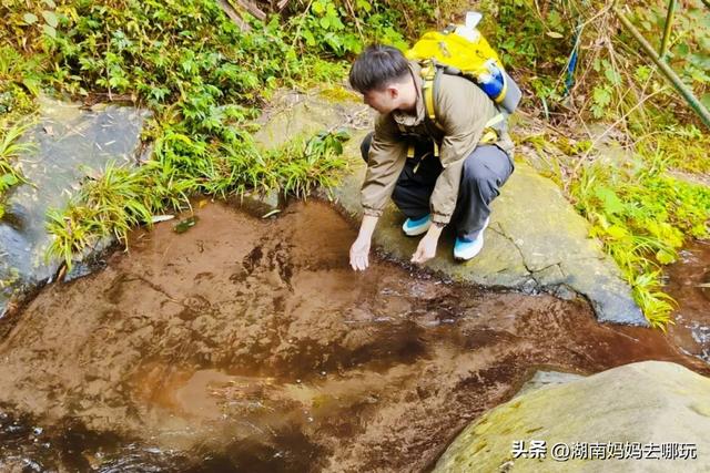 1.5h直达!藏在山野里的捡秋秘境,瀑布+挖宝双buff拉满!